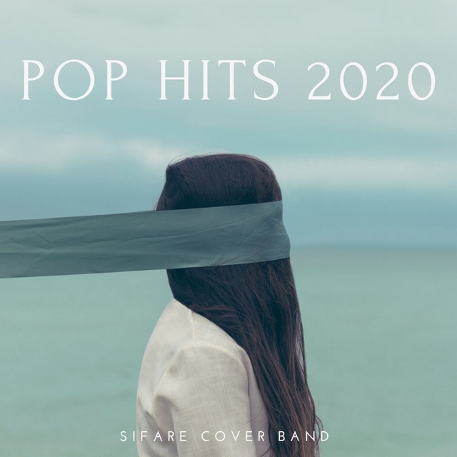 Couverture de POP HITS 2020