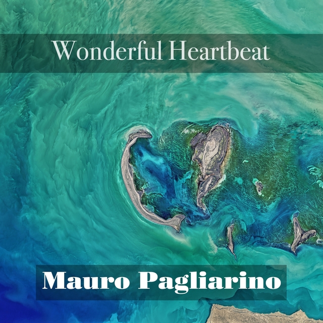 Couverture de Wonderful Heartbeat