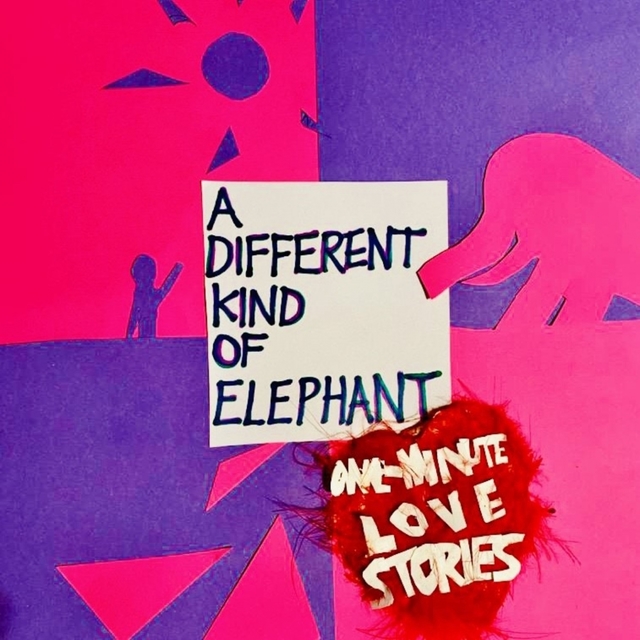 Couverture de A Different Kind of Elephant