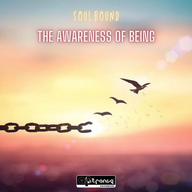 Couverture de The Awareness of Being