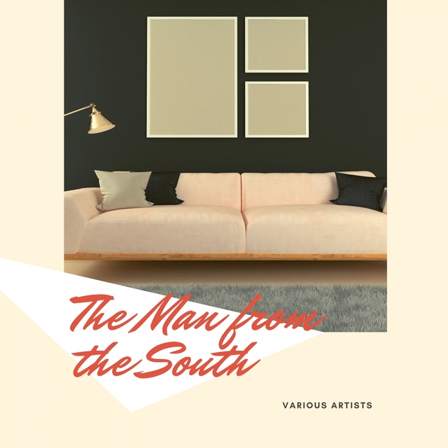 Couverture de The Man from the South