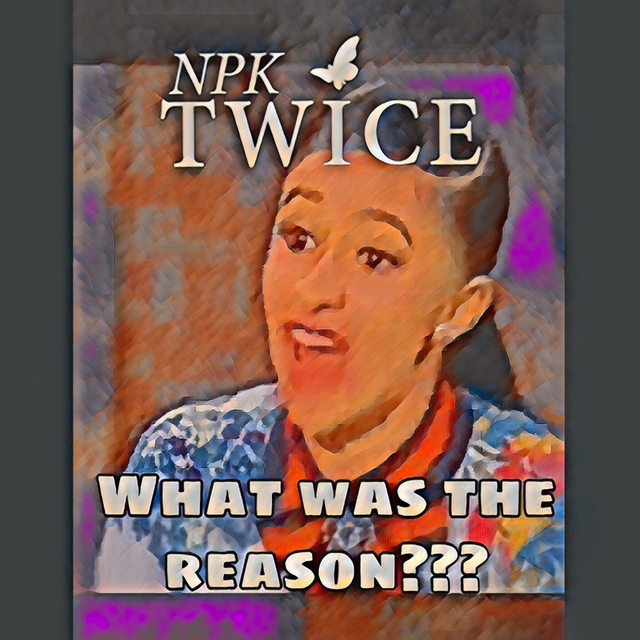 Couverture de What Was the Reason