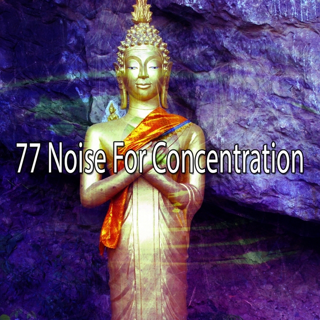 Couverture de 77 Noise for Concentration