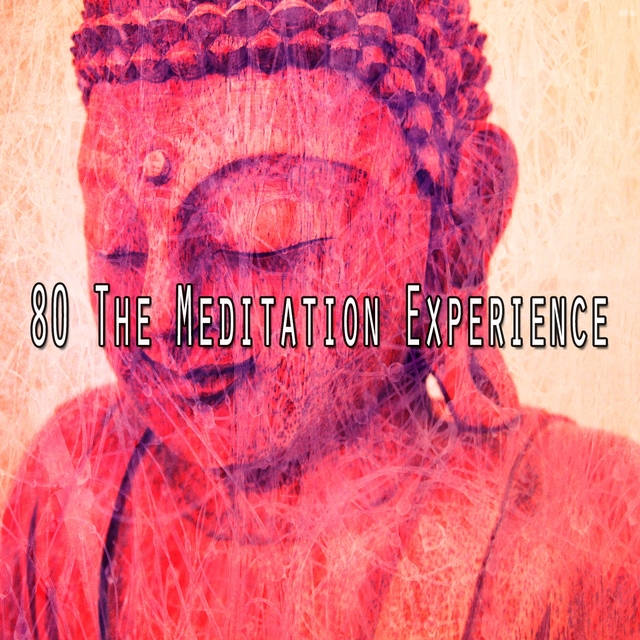 Couverture de 80 The Meditation Experience