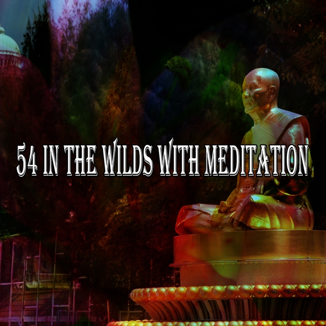 54 In the Wilds with Meditation