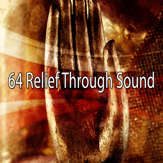 Couverture de 64 Relief Through Sound