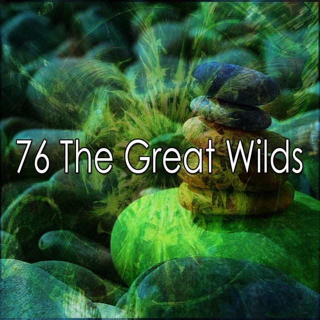 Couverture de 76 The Great Wilds