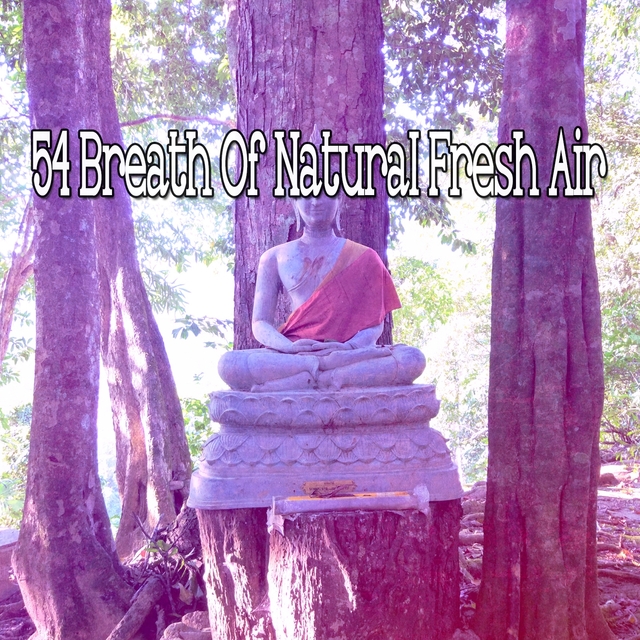 54 Breath of Natural Fresh Air