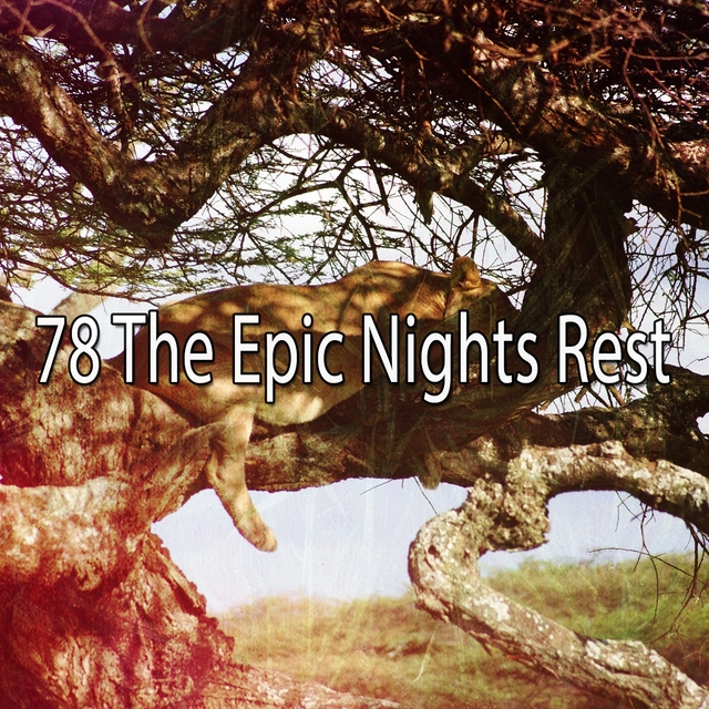 78 The Epic Nights Rest