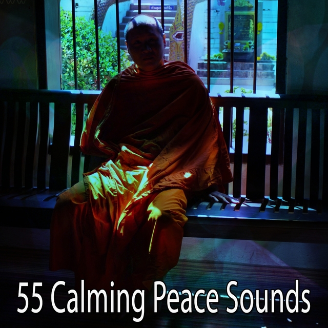 Couverture de 55 Calming Peace Sounds