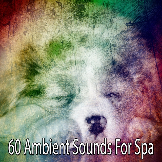 60 Ambient Sounds for Spa