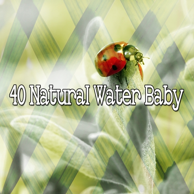 40 Natural Water Baby