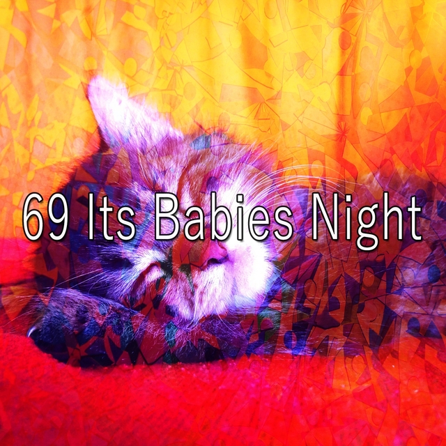 69 Its Babies Night