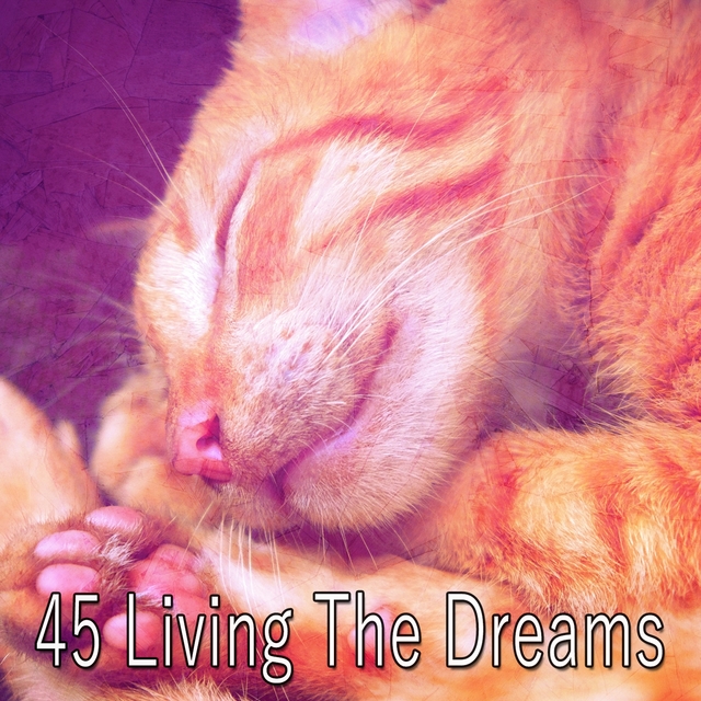 Couverture de 45 Living the Dreams