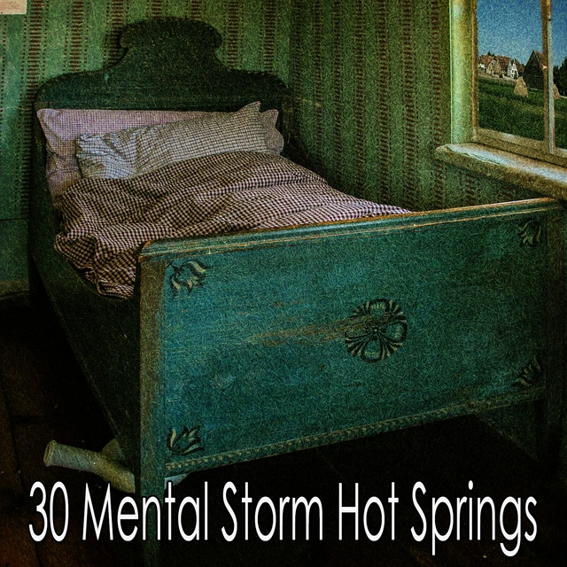 Couverture de 30 Mental Storm Hot Springs