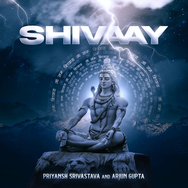 Couverture de Shivaay