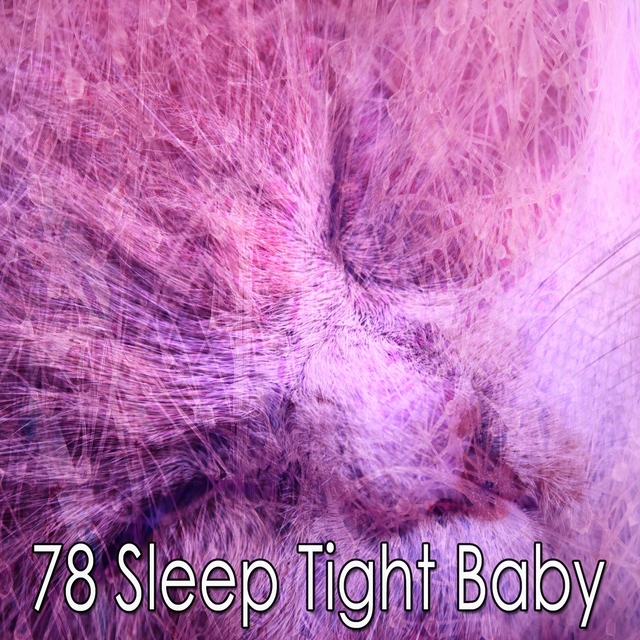 Couverture de 78 Sleep Tight Baby
