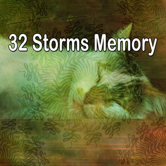 32 Storms Memory