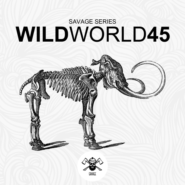 WildWorld45