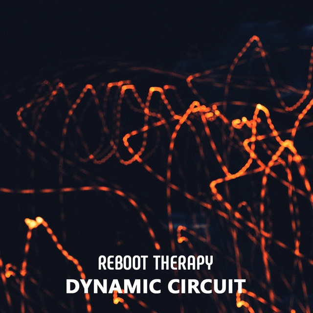 Couverture de Dynamic Circuit