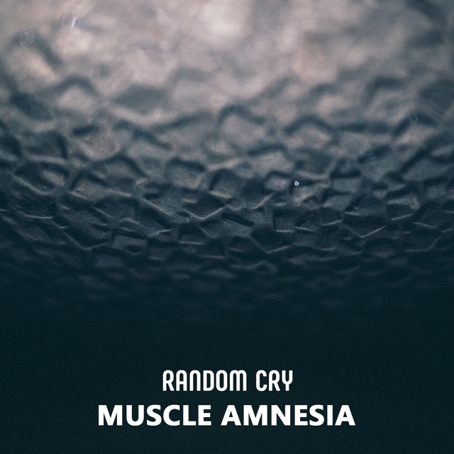 Couverture de Muscle Amnesia