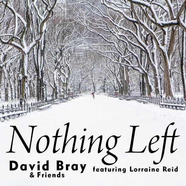 Couverture de Nothing Left