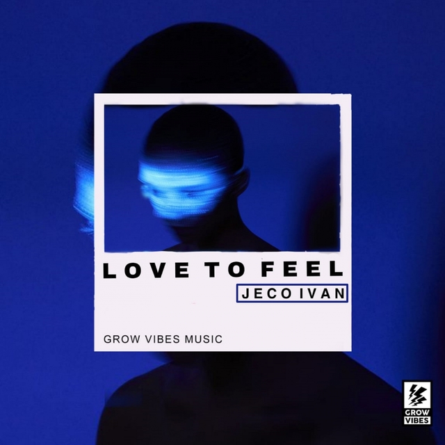 Couverture de Love To Feel