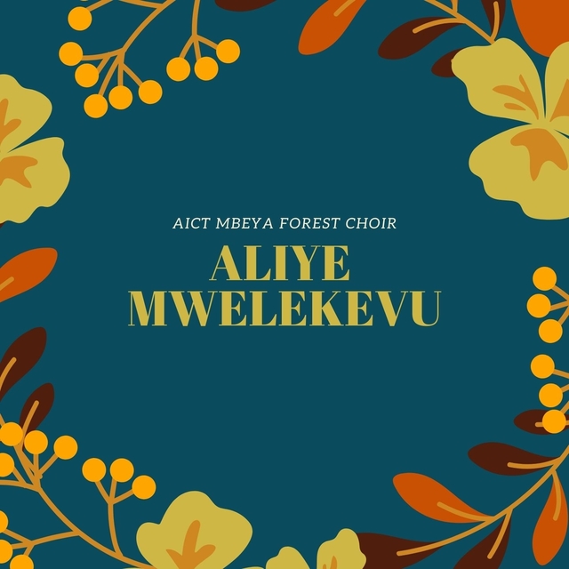 Aliye Mwelekevu