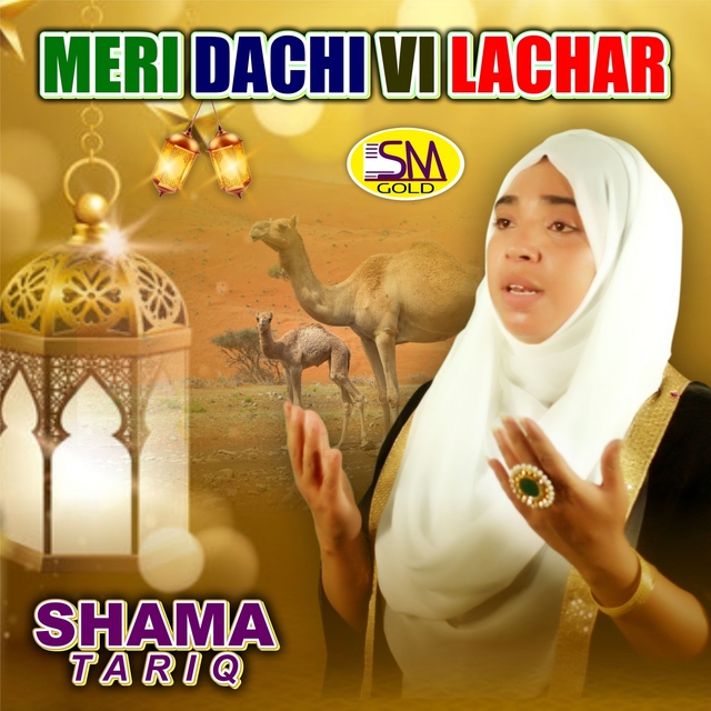 Couverture de Meri Dachi Vi Lachar