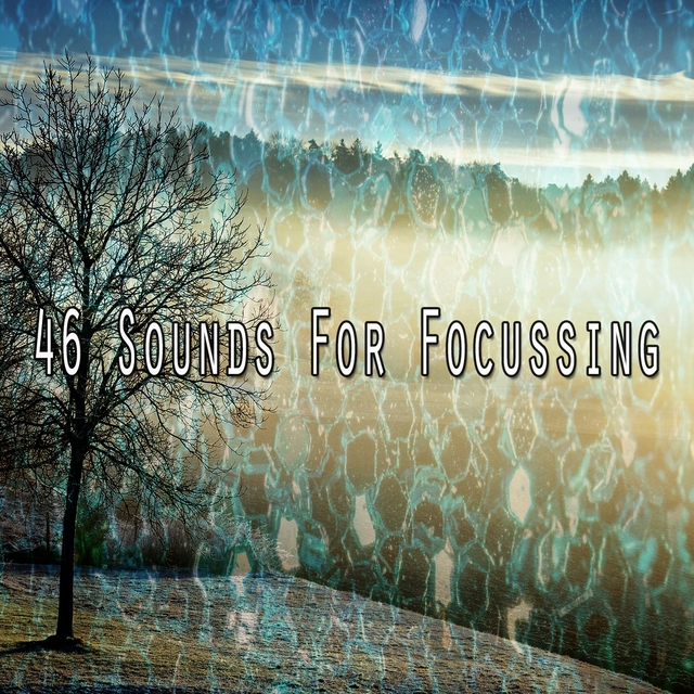 46 Sounds for Focussing