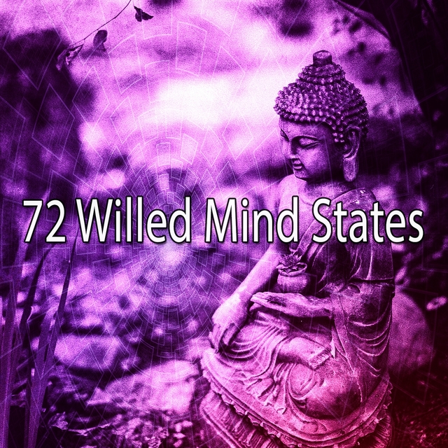 72 Willed Mind States