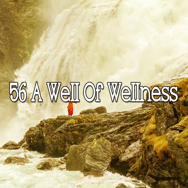 56 A Well of Wellness