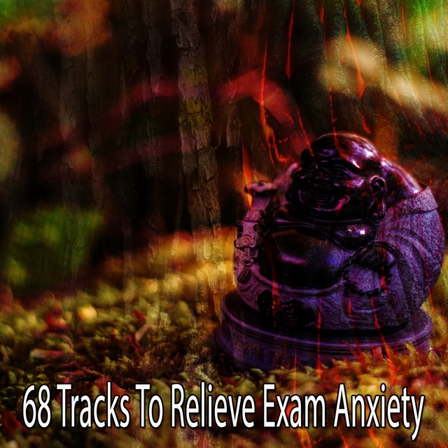 Couverture de 68 Tracks to Relieve Exam Anxiety