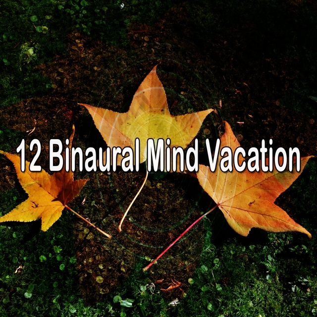 Couverture de 12 Binaural Mind Vacation