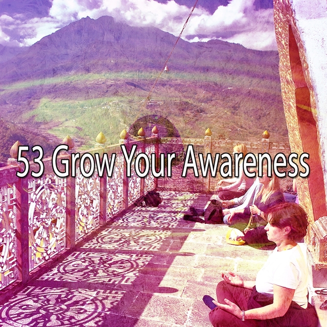 Couverture de 53 Grow Your Awareness