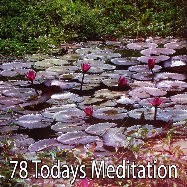 78 Todays Meditation