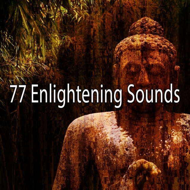 Couverture de 77 Enlightening Sounds