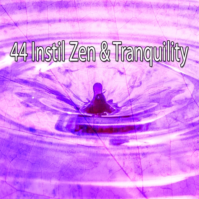 44 Instil Zen & Tranquility