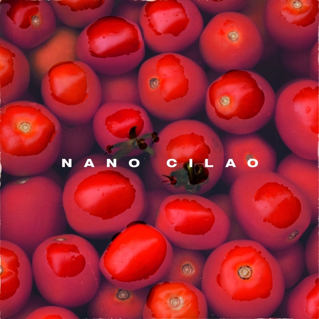 Couverture de Nano Cilao