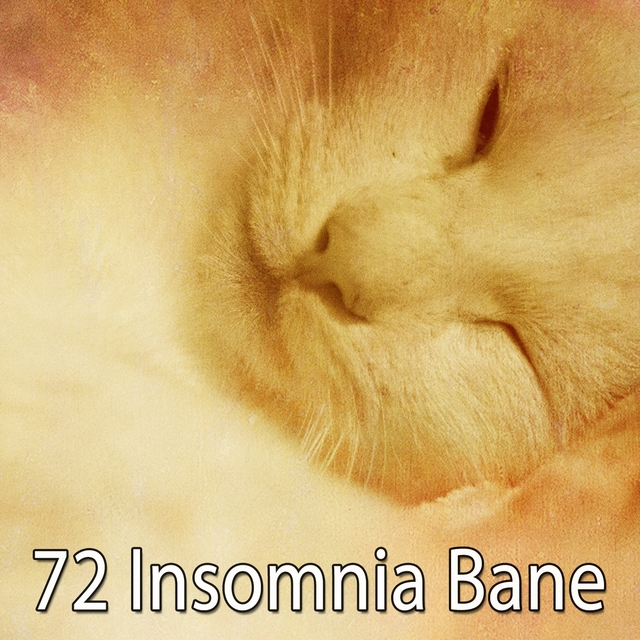 72 Insomnia Bane