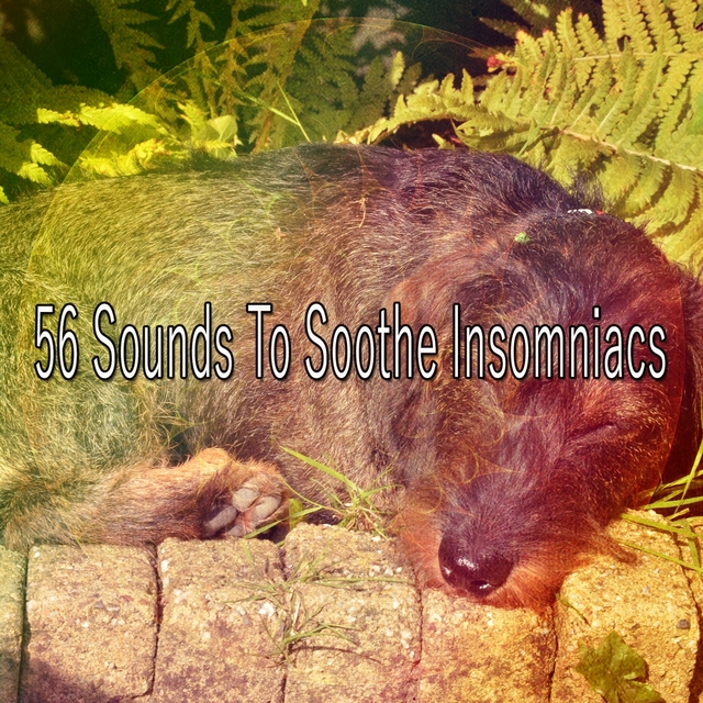 Couverture de 56 Sounds to Soothe Insomniacs