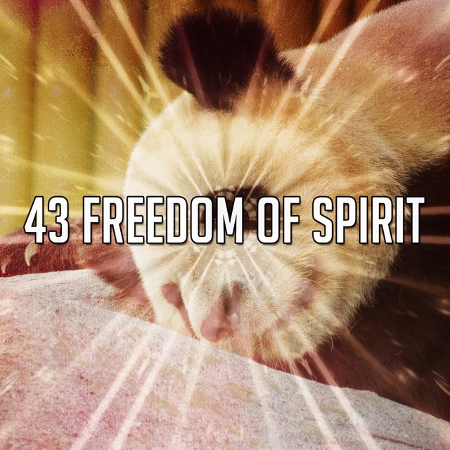 43 Freedom of Spirit