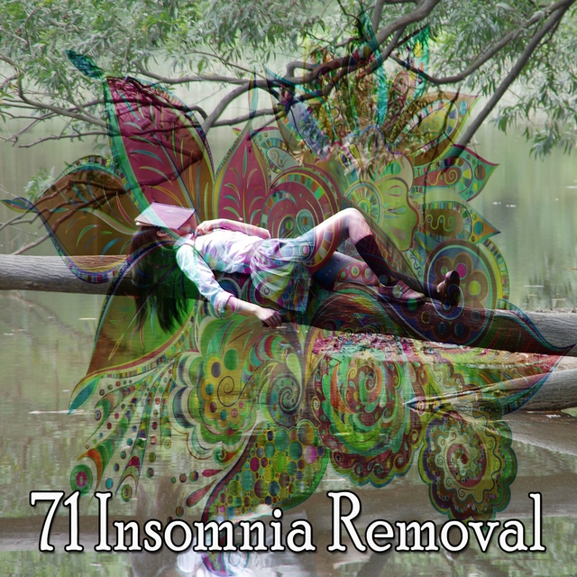 71 Insomnia Removal