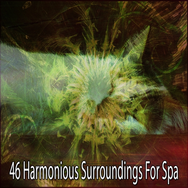 46 Harmonious Surroundings for Spa
