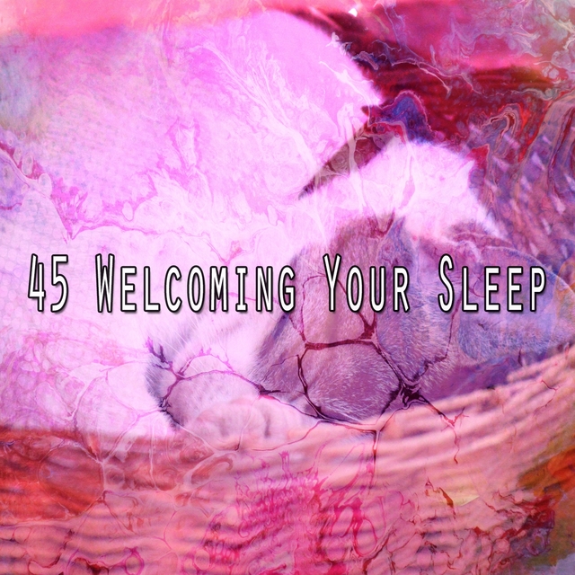 Couverture de 45 Welcoming Your Sle - EP