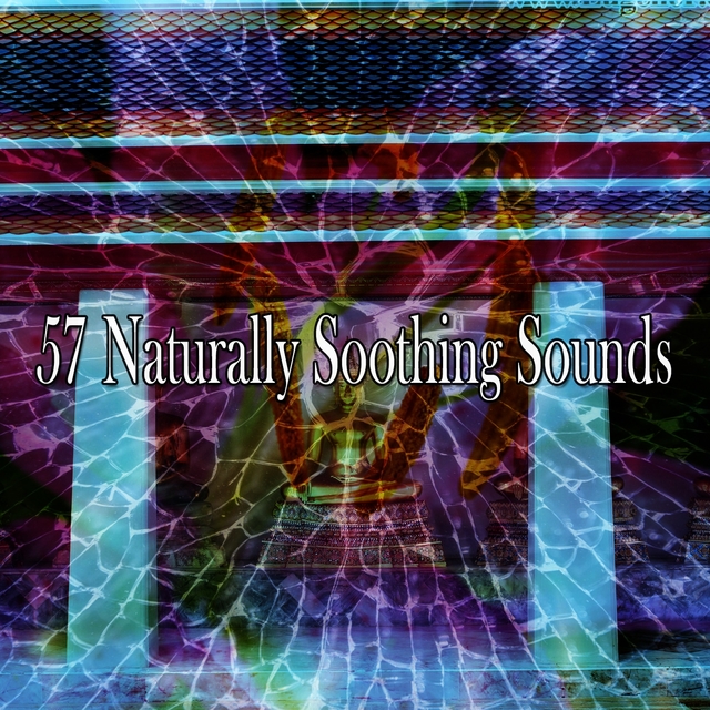 Couverture de 57 Naturally Soothing Sounds