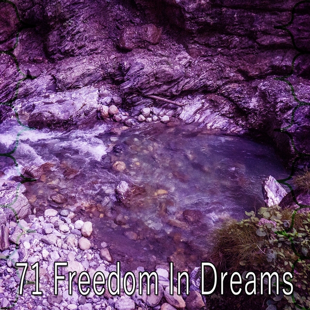 71 Freedom in Dreams