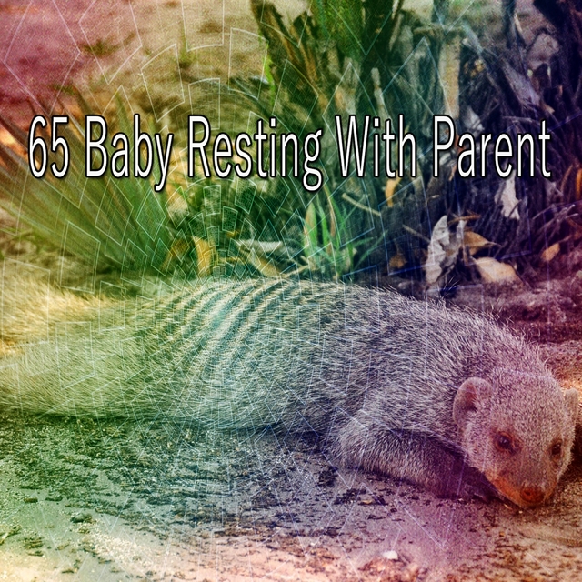 65 Baby Resting with Parent