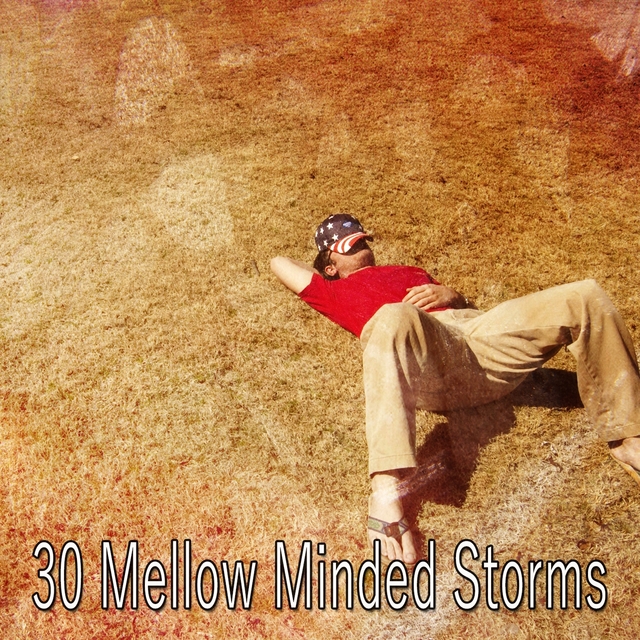 Couverture de 30 Mellow Minded Storms