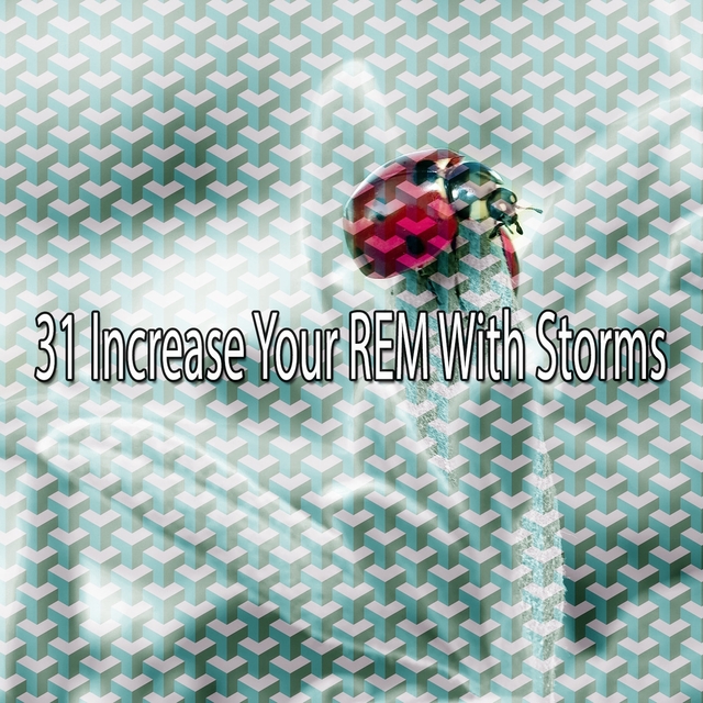 Couverture de 31 Increase Your Rem with Storms